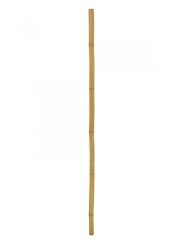 Tyč bambusová, prům.5cm, délka 200cm Tyč bambusová, prům.5cm, délka 200cm