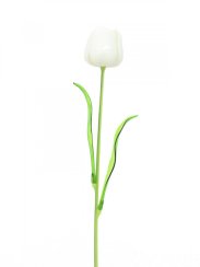 Tulipán bílý – křišťálový, 61 cm, 12 ks
