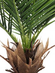 Phoenix palma deluxe, 220 cm