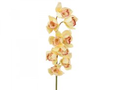 Orchidej větvička, žlutá, 90 cm