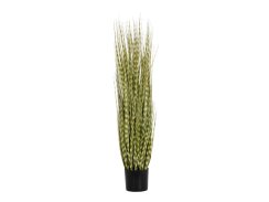 FIRESILX Ozdobnice čínská, 120 cm