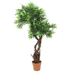 Vrba, výška 145 cm - použito (82506740)