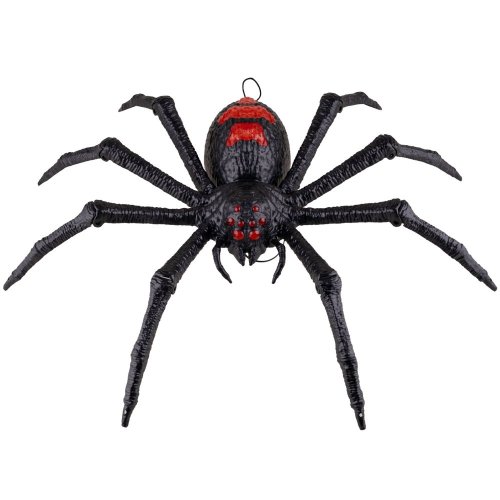 Tarantule 