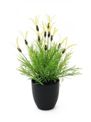 Květináč s bylinkami, 40 cm
