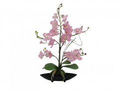Orchidej aranžmá s květináči, růžová, 60 cm.