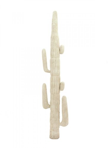 Mexický kaktus bílý, 228 cm