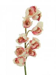 Orchidej větvička, krémově růžová, 90 cm