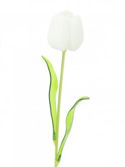 Tulipán bílý – křišťálový, 61 cm, 12 ks