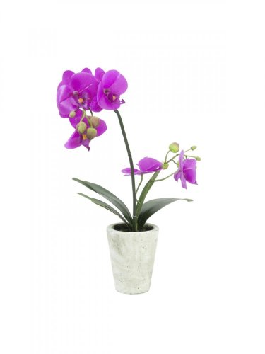Orchidej fialová v dekoračním květináči, 56 cm