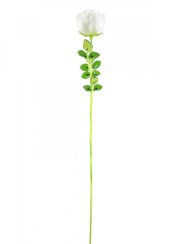Růže bílá, křišťálová 81cm, 12ks
