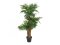 Areca palma, 140 cm