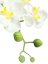 Orchidej bílá v dekoračním květináči, 8 květů, 62 cm