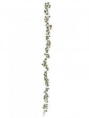 Girlanda z Holandského břečťanu zeleno-bílá, 180 cm