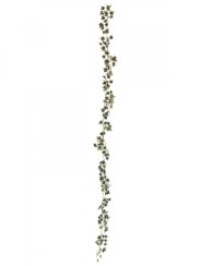 Girlanda z Holandského břečťanu, 180 cm Girlanda z Holandského břečťanu, 180 cm