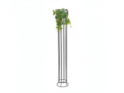 Vinná réva trs, premium, 50cm