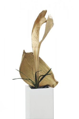 Palmový list, vysušený, pozlacený, 130 cm