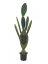 Kaktus Nopal, 130 cm