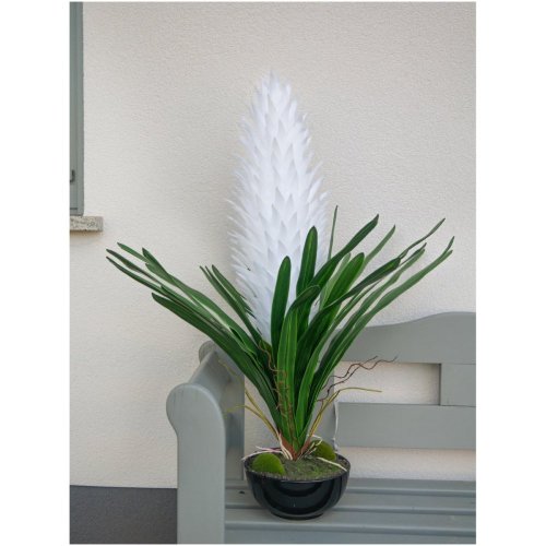 Bromélie, bílá, 100cm - rozbaleno (82532001)