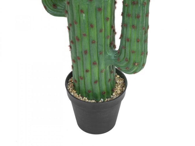 Mexický kaktus zelený, 173 cm
