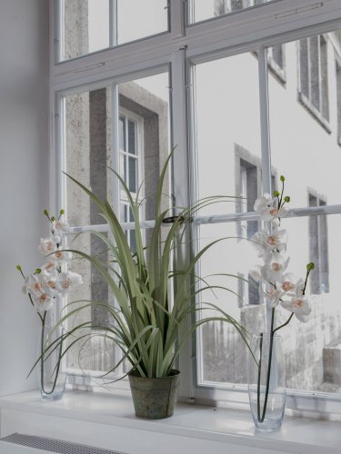 Orchidej větvička krémově-bílá, 100 cm