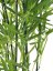 Bambus v černém květináči, 120 cm - poškozeno (82509261)