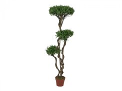 Bonsai stromek, vícekmenný, 130cm - rozbaleno (82511510) Bonsai stromek, vícekmenný, 130cm - rozbaleno (82511510)