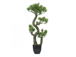 Bonsai borovice, 70 cm - poškozeno (82600117) Bonsai borovice, 70 cm - poškozeno (82600117)