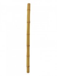 Tyč bambusová, prům.12cm, délka 200cm