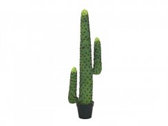 Mexický kaktus zelený, 117 cm