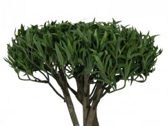 Bonsai stromek, vícekmenný, 130cm - rozbaleno (82511510)
