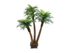 Kapradinová palma 3 kmeny 240 cm - poškozeno (82509152)