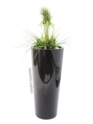 Tráva vysoká s květináčem, 90 cm