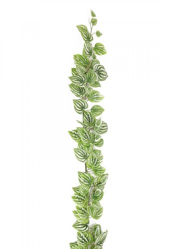 Réva se zeleno-bílými  lístky, 180 cm
