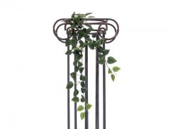 Filodendron trs střední, 70 cm