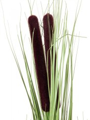 Europalms rákos s orobincem, světle zelený, umělý, 152 cm