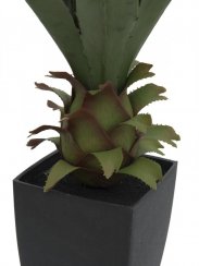 Agave kaktus s květináčem, 75 cm