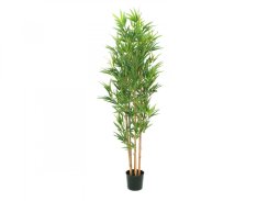 Europalms Bambus deluxe, 150cm Europalms Bambus deluxe, 150cm