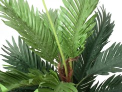 Kentia palma, 120 cm