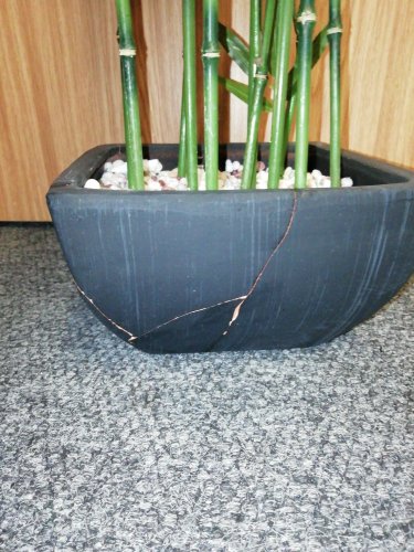 Bambus v černém květináči, 120 cm - poškozeno (82509261)