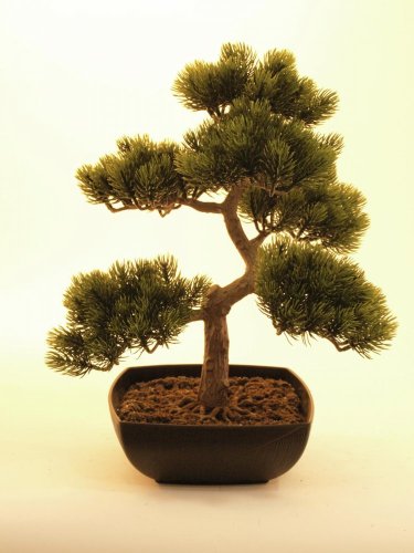 Europalms Bonsai borovice, umělá rostlina, 50cm