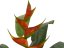 FIRESILX Heliconia, umělá rostlina, 190 cm