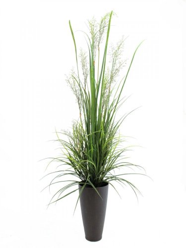 Říční tráva "duben", 175 cm