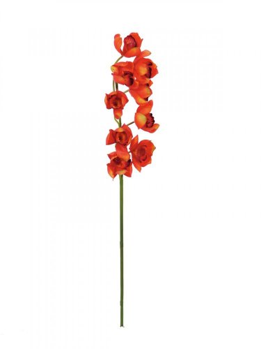 Orchidej větvička, červená, 90 cm
