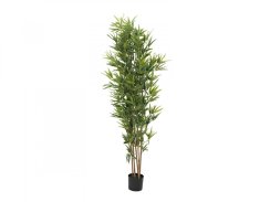 Europalms Bambus deluxe, 180cm Europalms Bambus deluxe, 180cm