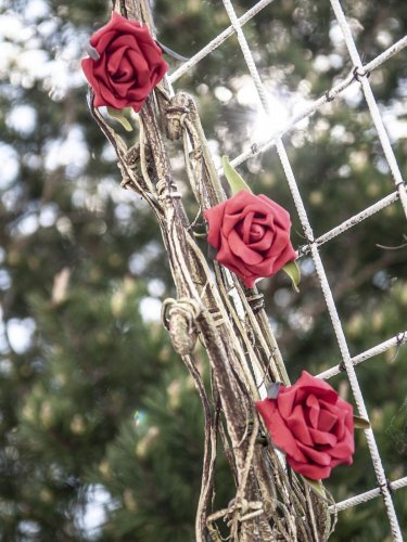 Girlanda z růží, červená, 145 cm
