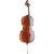 Violoncella