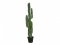 Mexický kaktus zelený, 123 cm