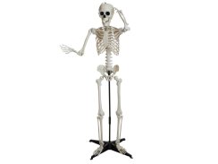 Europalms Halloweenský kostlivec, 150 cm