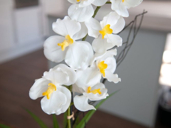Orchidej bílá v dekoračním květináči, 62 cm