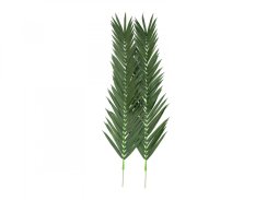 Palma list - kokos královský (kus), 210 cm